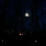 Profile Picture of грусттная печаль (@_pogrustim__) on Instagram