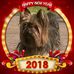 Profile Picture of Uwe Locher (@uwe.locher.3) on Facebook