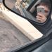 Profile Picture of Noel Arvizu (@noel.arvizu.56) on Facebook