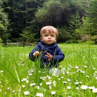 Profile Picture of Laura Schneider (@LauraSchneide12) on Twitter