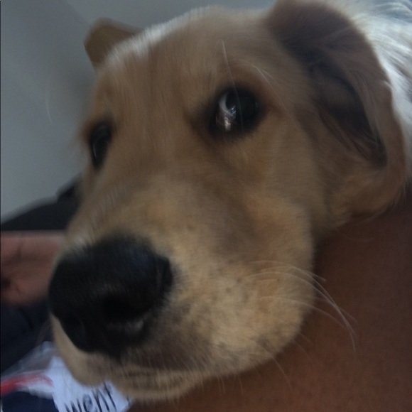 Profile Picture of Nikita Hurry (@nikitahurry) on Poshmark