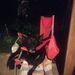 Profile Picture of Sabra Bedsole (@sheltey45) on Pinterest