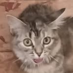 Profile Picture of Josie Gilliam (@Josie-Gilliam) on Facebook