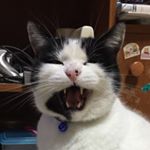 Profile Picture of Taro Ikeda (@taro.i0912) on Instagram