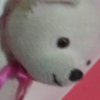 Profile Picture of Justine Slade (@justine-slade) on Quora