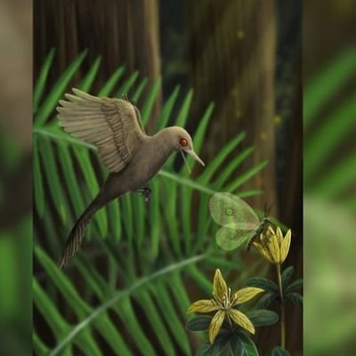 Profile Picture of Radhika Yadav (@Radhikayadav575) on Twitter