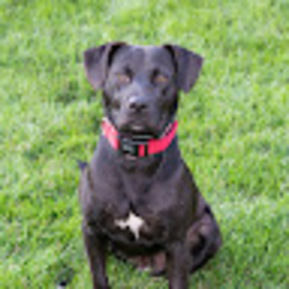 Profile Picture of Brian Ferguson (@bferg74) on Poshmark