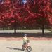Profile Picture of Scott Erickson (@scott.erickson.965) on Facebook