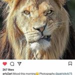 Profile Picture of Janet Speer (@janet281063) on Instagram