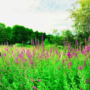 Profile Picture of Lisa Gilliam (@lisagilliam988) on Youtube