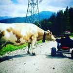 Profile Picture of Christian N (@96spiegel69) on Instagram