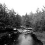 Profile Picture of Robert Cram (@robertcram1992) on Instagram