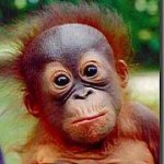 Profile Picture of Eric Sittner (@ericsittner) on Instagram