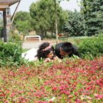 Burçin  Yörük - Instagram Profile Picture of Burçin  Yörük (@burcin__yoruk) on Instagram