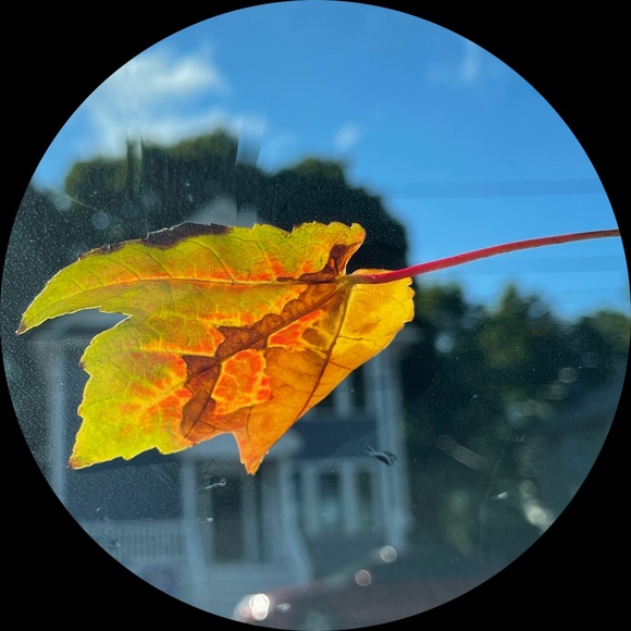 Profile Picture of Ada Ko (@avko) on Poshmark