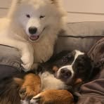 Profile Picture of Leo Hellman (@leo.hellman.1) on Facebook