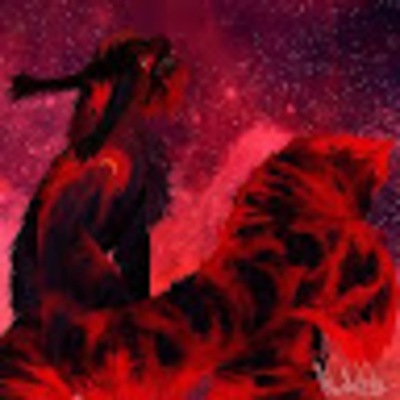 Moon of blood Cherry rose - Poshmark Profile Picture of Moon of blood Cherry rose (@joeylight2001) on Poshmark