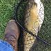 Profile Picture of Robert Scruggs (@robert.scruggs.5070) on Facebook
