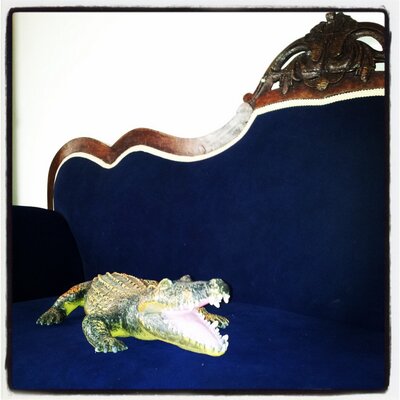 Profile Picture of Steven L (@LambrechtSteven) on Twitter