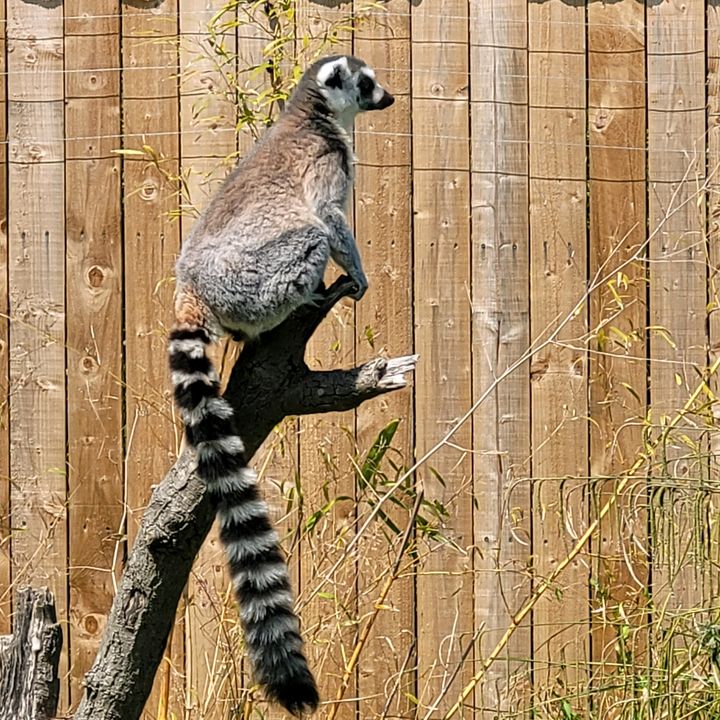 Profile Picture of Tracy Collinson (@tracy.collinson) on Tiktok