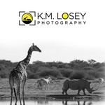 Profile Picture of Kevin Losey (@kmloseyphotography) on Instagram