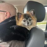 Profile Picture of Bruce Burns (@hx40af) on Instagram