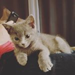 Profile Picture of Polo☆ (@polowin2020) on Instagram