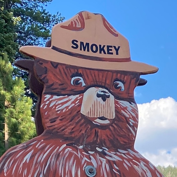 Profile Picture of Tony Savino (@asavino17) on Poshmark