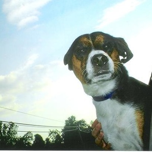 Profile Picture of N Brown (@10lightning) on Myspace