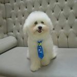 Profile Picture of Santino Rosón (@santino_roson) on Instagram