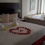 Profile Picture of Steve Poulton (@stevepoulton64) on Instagram