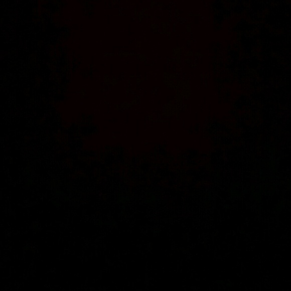 Profile Picture of Tray Nemo (@nemo223) on Poshmark