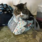 Profile Picture of Ami Weaver (@ami_weaver_writes) on Instagram