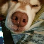 Profile Picture of Fay Frost (@fmfrost75) on Instagram