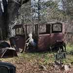 Profile Picture of Danielle Boyer (@danielleboyerow) on Instagram