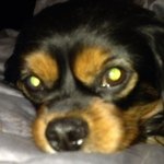 Profile Picture of Brian Bumbery (@brianbumbery) on Instagram