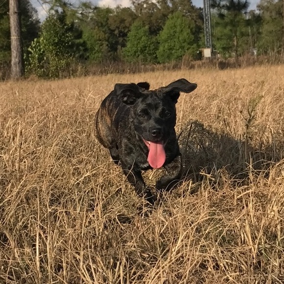 Profile Picture of Alexus Hurst (@alexushurst2017) on Poshmark