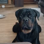 Profile Picture of Richard Mcgrane (@richard.mcgrane.77) on Facebook