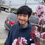 Profile Picture of Clout Corazón (@aaron.shook) on Instagram