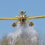 Profile Picture of Pilotos Forestales Argentina (@andres_desideri) on Instagram