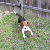 Profile Picture of Harrison Walters (@gharrisonwalters) on Youtube