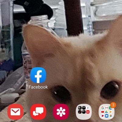 Robert Gram - Twitter Profile Picture of Robert Gram (@RobertGram16) on Twitter