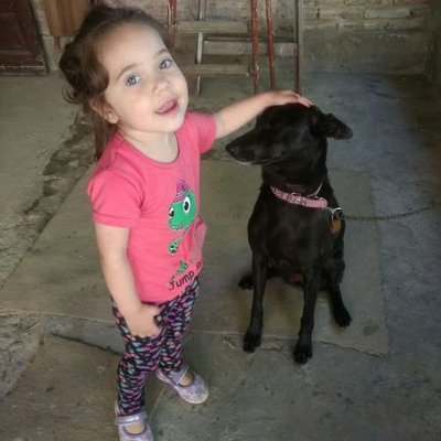 Profile Picture of Norma Ester Falcón (@NormaEsterFalc2) on Twitter