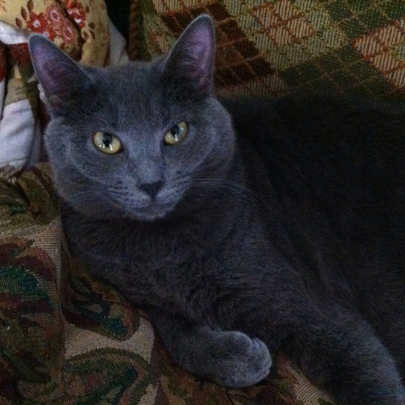 Profile Picture of Stacy Schaeffer (@vbchic22) on Poshmark