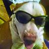 Profile Picture of michael mcneese (@michaelmcneese0) on Tiktok