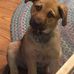 Profile Picture of Dawn Westphal (@dawn.westphal.589) on Facebook