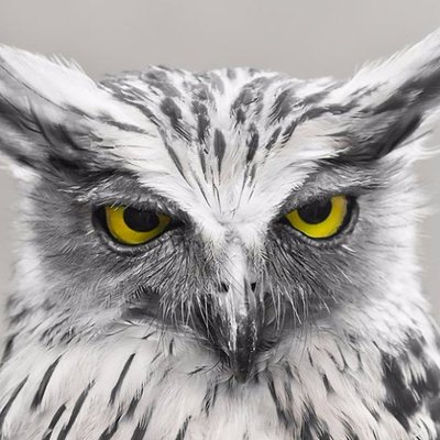 Profile Picture of Jim Motta (@MottaMan1973) on Twitter