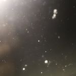 Profile Picture of christinapia08 (@christina_hjelmseth) on Instagram