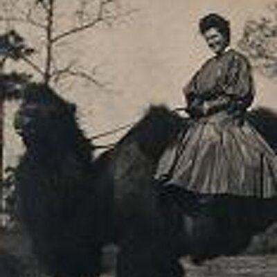 Profile Picture of Jessica Sedgwick (@Jacquelynn_Hall) on Twitter