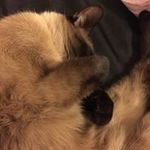 Profile Picture of Wendy Blodgett Marafioti (@wendymarafioti) on Instagram